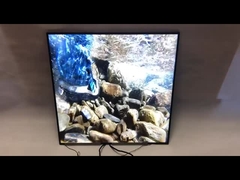 Marka oryginalny BOE 33-calowy kwadratowy panel LCD 420 nitów 1920 * 1920 kwadratowy wyświetlacz reklamowy